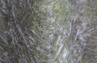 Murdieston fibreglass roof work